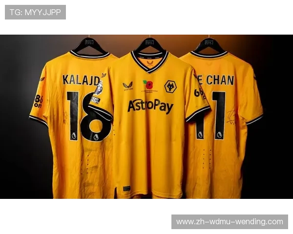 英超联赛11月球员胸前号码分布及球衣设计 英超联赛11月球员胸前号码分布及球衣设计