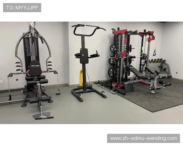 家庭健身器材的合理配置方案及品牌推荐 家庭健身器材的合理配置方案及品牌推荐