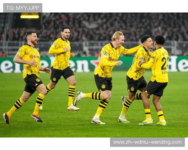 德甲排名败退的球队原因分析及未来展望