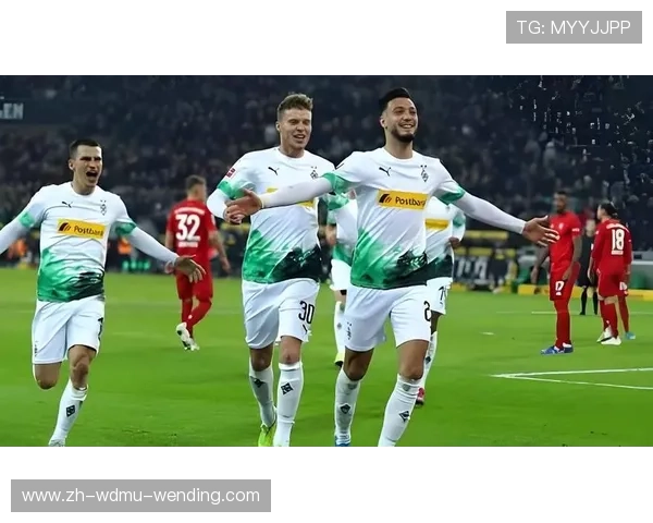 德甲球队的命运怎么样:德甲球队赛季命运分析与各队前景 德甲球队的命运怎么样:德甲球队赛季命运分析与各队前景