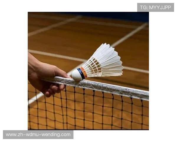 羽毛球球速普通 羽毛球球速普通