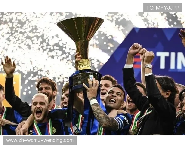 苏宁曾接触哪些意甲球队?跨国资本合作背景 苏宁曾接触哪些意甲球队?跨国资本合作背景